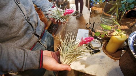 Floristería Índigo