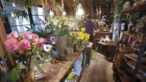 Floristería Índigo