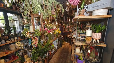 Floristería Índigo