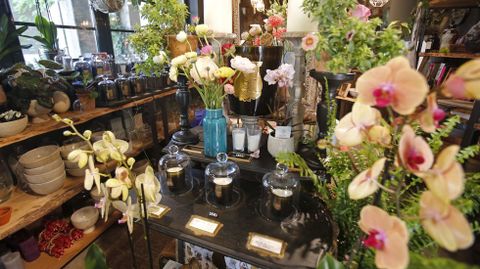 Floristería Índigo
