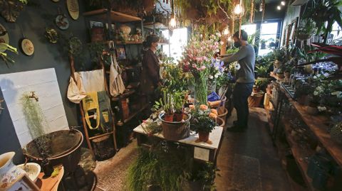Floristería Índigo