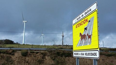 Imagen de la carretera a su paso por el alto de A Gañidoira, en el municipio de Muras