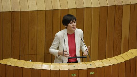 Pontón, durante una intervención en el Parlamento gallego, en imagen de archivo