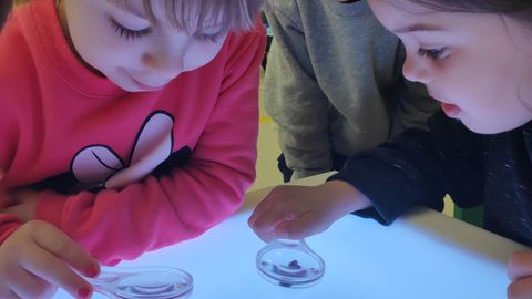 Alumnos del CEIP de Espiñeira, en Aldán