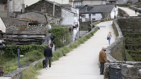 La limpieza de las hierbas de la Muralla no se puede realizar entre mayo y agosto porque anidan los vencejos