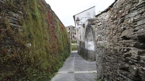 La limpieza de las hierbas de la Muralla no se puede realizar entre mayo y agosto porque anidan los vencejos
