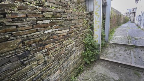 Pintadas en la Muralla por la parte de atrás del Vicerreitorado, donde hay un edificio en ruinas vallado