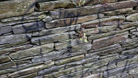 Pintadas en la Muralla por la parte de atrás del Vicerreitorado, donde hay un edificio en ruinas vallado