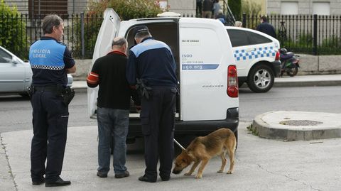 Agentes de la Policía Local de Monforte recogen un perro abandonado, en una foto de archivo.