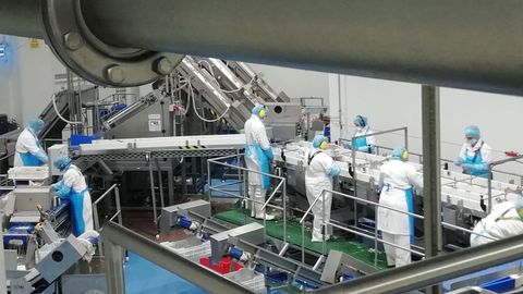 Factoría de Congalsa