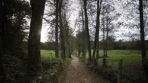 Tramo del Camino Primitivo entre Castroverde y Lugo