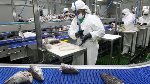 Pescados Rubén, de Foz, en imagen de archivo, lidera la facturación en A Mariña junto con ABSA (Burela) y Puerto de Celeiro (Viveiro), según el Informe Ardán 2021