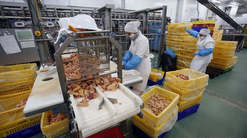 Una perspectiva distinta de Lago Aves, una empresa puntera del sector alimenticio pontevedrés