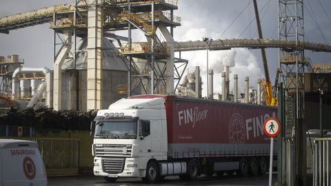 La maderera Finsa facturó más de 660 millones de euros en el ejercicio del 2019