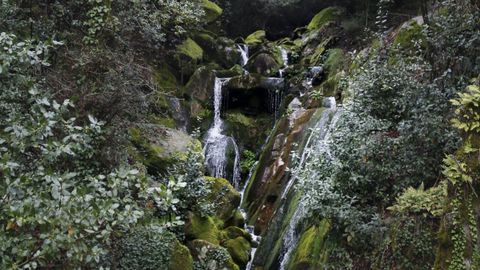 Monte Aloia