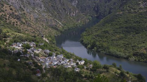 Enciña da Lastra