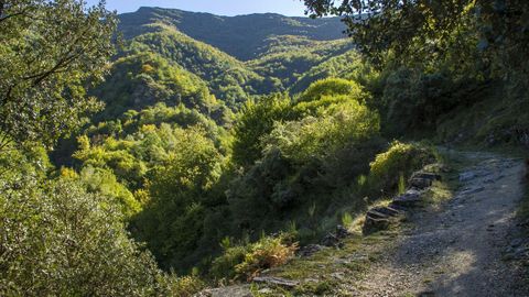 Ruta de la Devesa da Rogueira, donde tuvo que se auxiliada la excursionista
