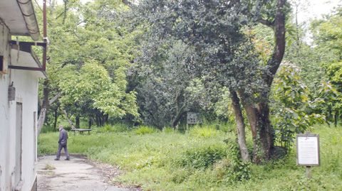 El borrador no consigna fondos para recuperar y abrir el parque botánico del Montón