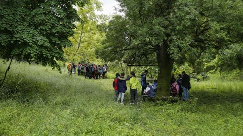 Los escolares realizaron una ruta a pie en las inmediaciones de Palmés