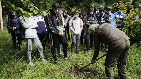 El alumnado de Maristas aprende a reforestar en Palmés