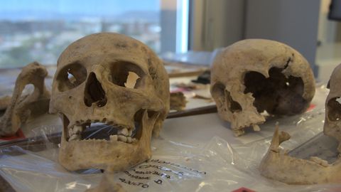 Muestras de la familia de Cristóbal Colón que serán sometidas a un análisis de ADN en la Universidad de Granada