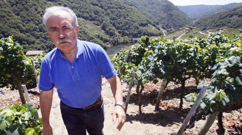 José Mouriño Cuba traballou na Consellería de Medio Rural e é un experto coñecedor da Ribeira Sacra