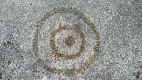 Os petroglifos atopados en O Pando, Cervantes