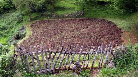 El minifundio es característico de Galicia