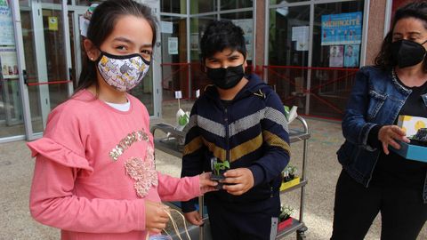 Los alumnos recibieron sus plantas