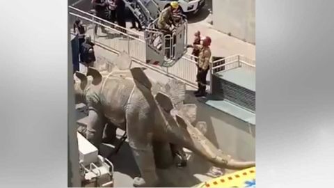 Imagen capturada de un vídeo de Twitter de El Mirall.net