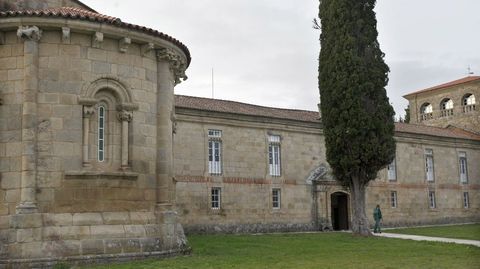 Ciprés á entrada do mosteiro das Bernardas, en Ferreira