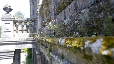 Pazo de Lourizán muy deteriorado