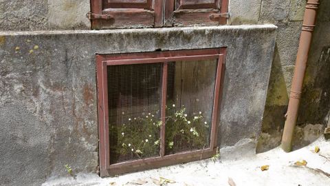 El Pazo de Lourizán muy deteriorado