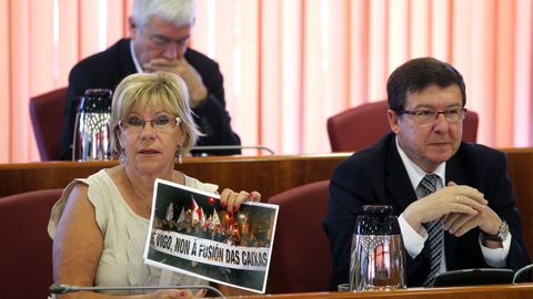 En el pleno en 2012