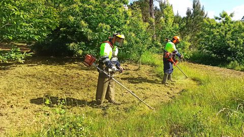 Operarios contratados en Mazaricos para realizar labores de limpieza