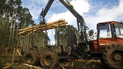Las empresas madereras deberán depositar una garantía en el Concello