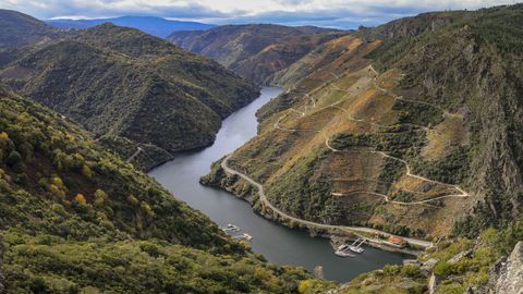 Panorámica de la Ribeira Sacra en la zona de los viñedos de Doade tomada el pasado octubre desde el mirador de As Penas de Matacás