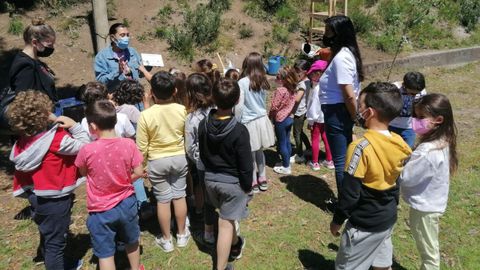 Plantación de un carballo en el colegio de Chancelas, en Combarro