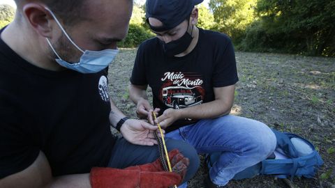 VIBORAS DE SEOANE EN LOS LIMITES DE A CORUÑA CON CULLEREDO Y ARTEIXO POR LOS BIOLOGOS DE LA UCD DAVID DO PEREIRO Y ISMAEL ESPASANDIN .