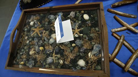 Exposición de arte feita con lixo mariño no liceo de Noia