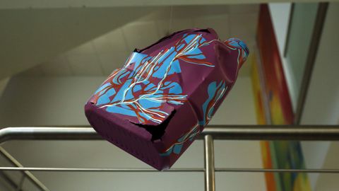 Exposición de arte feita con lixo mariño no liceo de Noia
