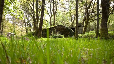 El área de O Caneiro, en As Pontes, está equipada con parrillas y zona de baño