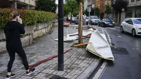 El viento arrancó árboles en casi todas las calles
