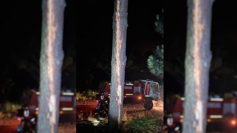 El rayo alcanzó a un árbol en el monte de San Alberto