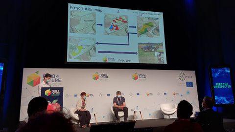 Presentación de las distintas zonas en las que se divididió la finca experimental en función de la producción