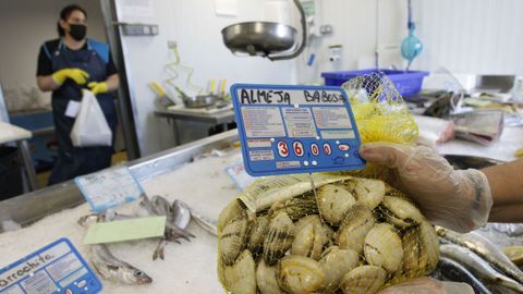 En la pescadería A túa lonxa del puerto de Ferrol se despachaba este martes la almeja babosa de la ría a 36 euros el kilo