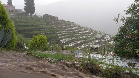 Aspecto que presentaba la zona de viñedos en bancales de San Fiz, en Chantada, media hora después de la primera descarga de granizo