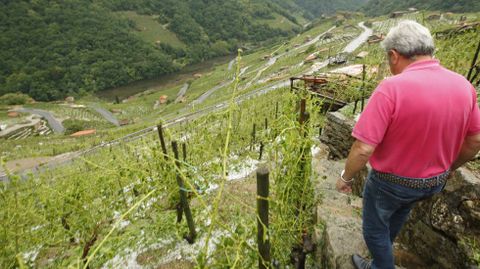 El granizo arrasa los viñedos en la mayor ribera de Chantada