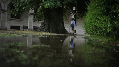 El jardín de San Carlos se construyó en 1834 y acoge veinte ejemplares de «Ulmus x hollandica Mill.» que conforman la única olmeda protegida y catalogada como BIC de Galicia.