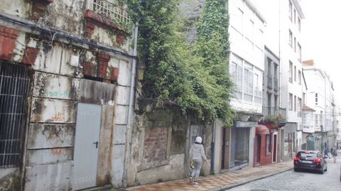 Del interior del número 32 de la calle Coruña asoma la maleza, que alcanza varios metros de altura